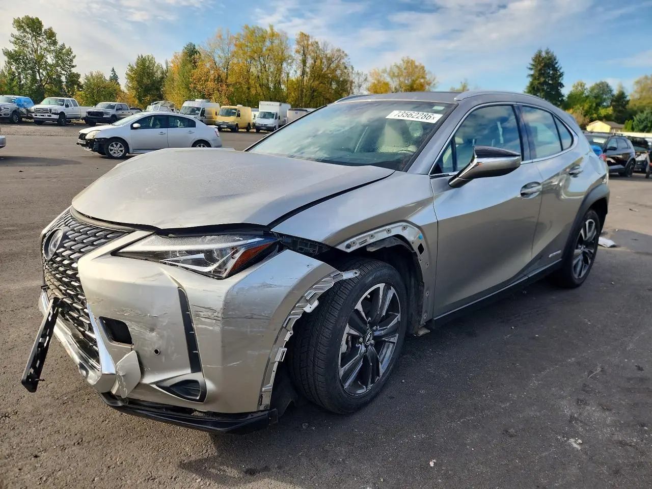 Lexus Ux 250H 2019