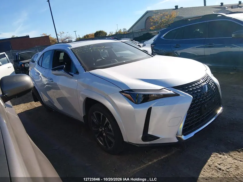 Lexus Ux 300H 2025