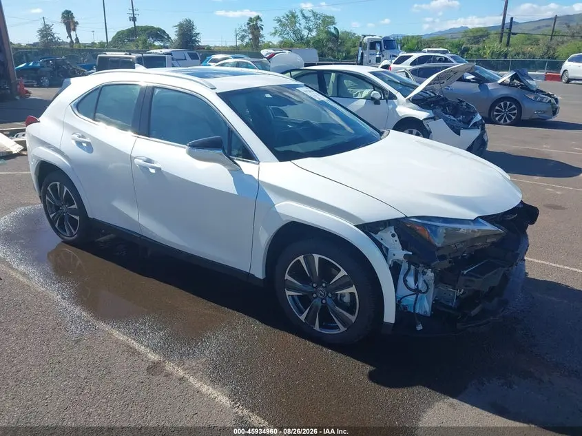 Lexus Ux 300H Premium 2025