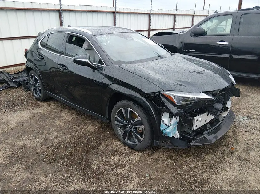 Lexus Ux 300H Premium 2025