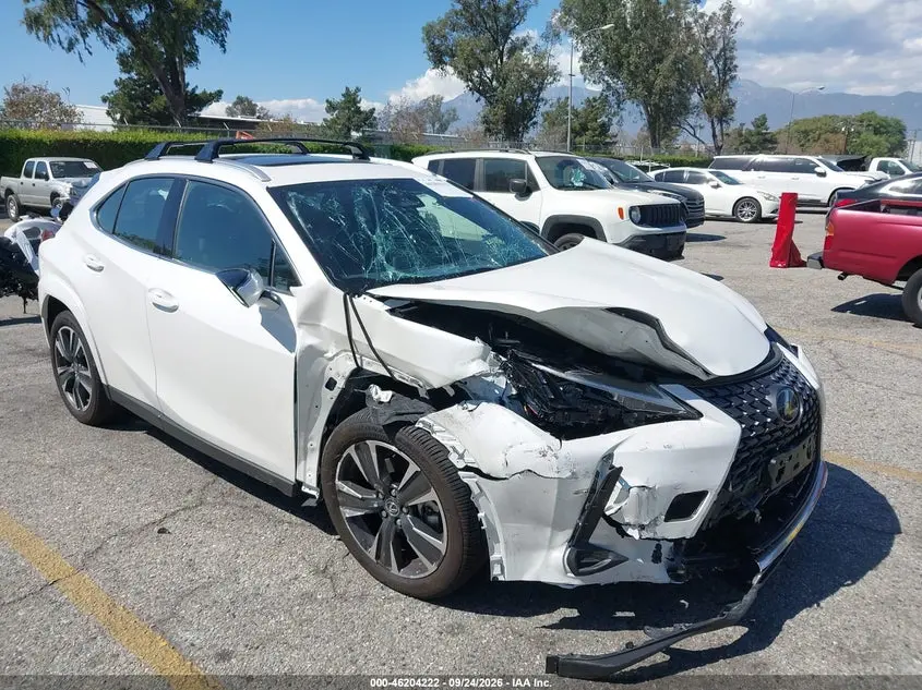 Lexus Ux 300H Premium 2025