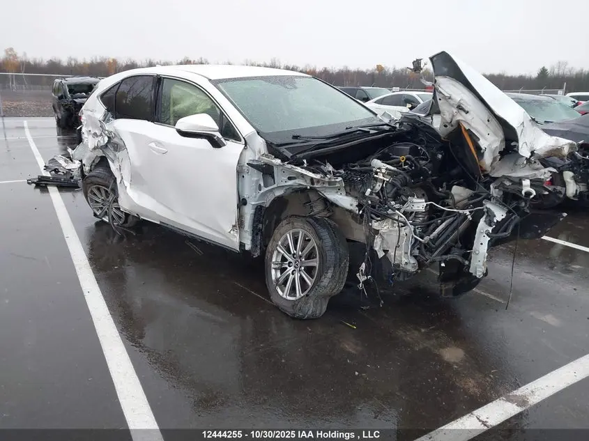 Lexus Nx 300 Base/300 Luxury/300 F Sport 2021