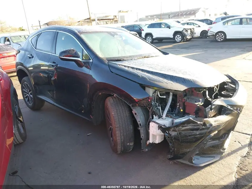 Lexus Nx 250 2024