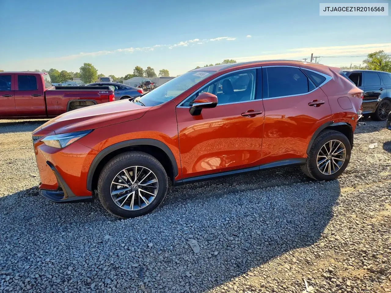 Lexus Nx 350 Base 2024