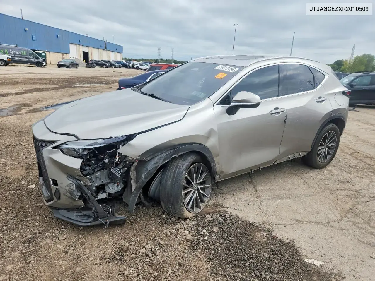 Lexus Nx 350 Base 2024