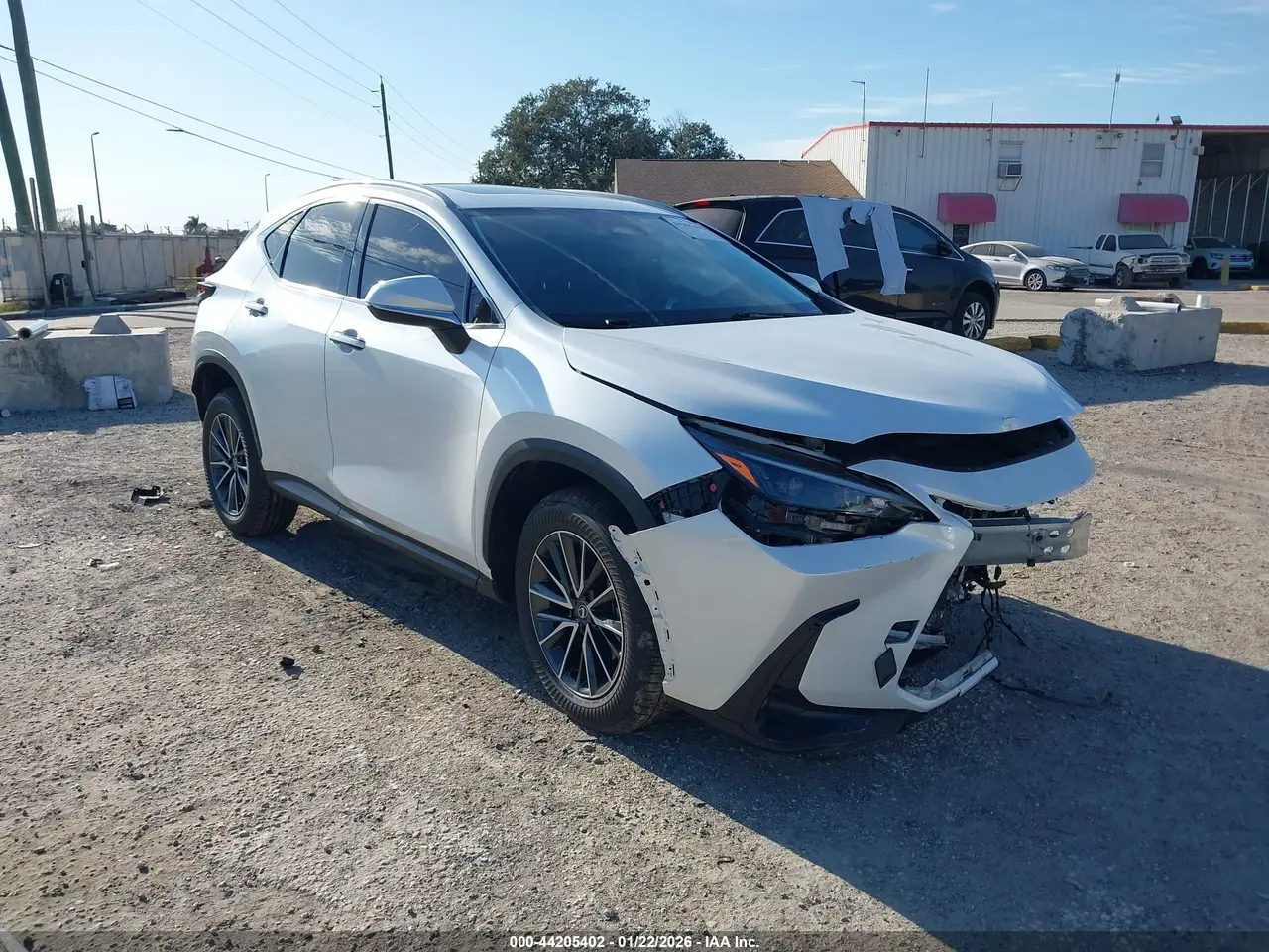 Lexus Nx 350H 2024