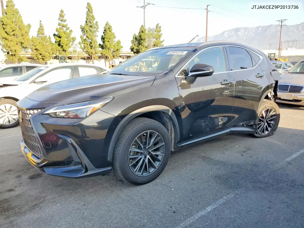 Lexus Nx 350H 2023
