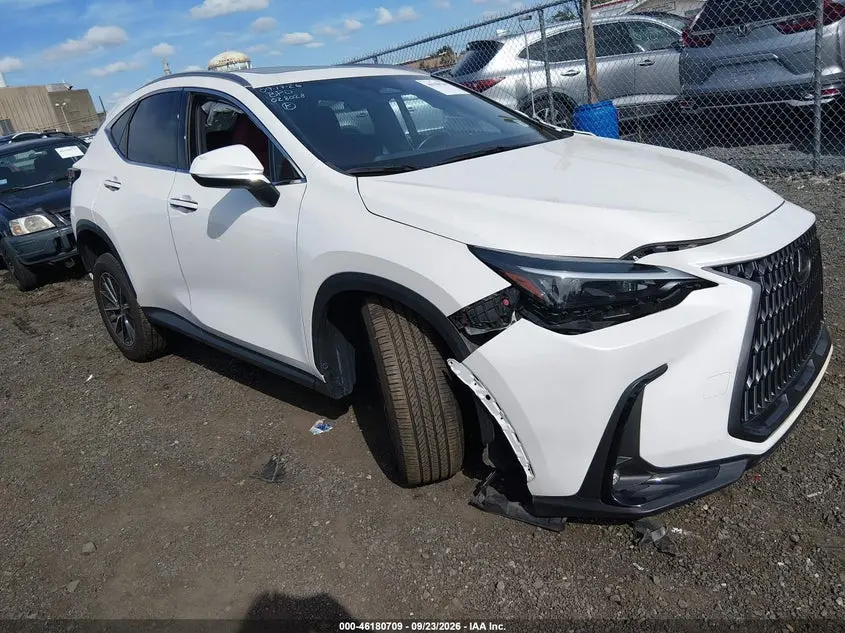 Lexus Nx 350H 2024