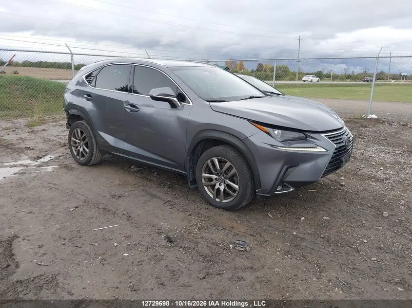 Lexus Nx 300/Base/F Sport 2018
