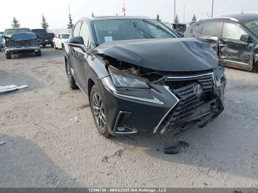 Lexus Nx 300 2019