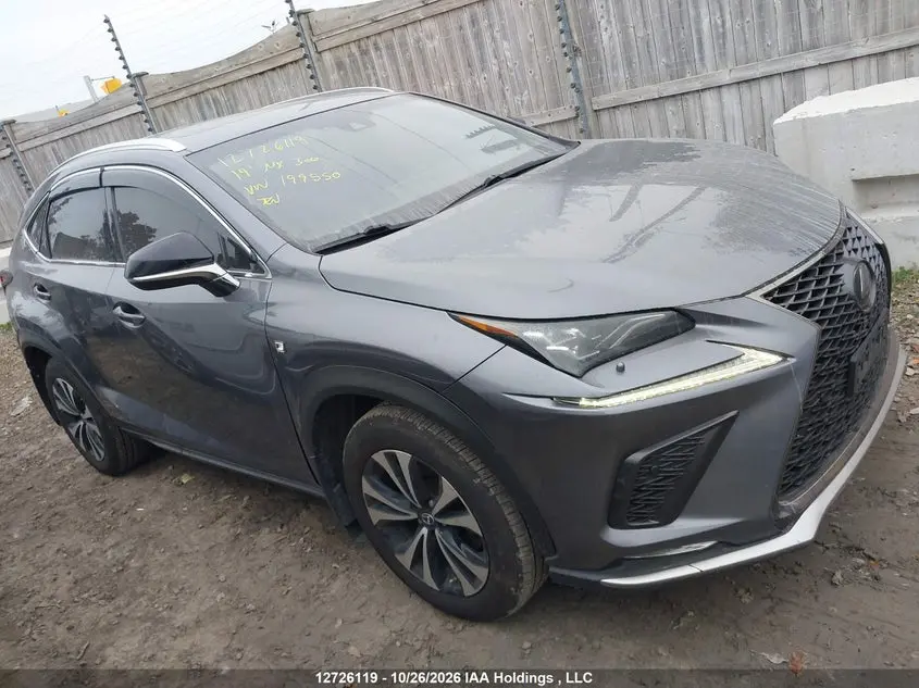 Lexus Nx 300 2019