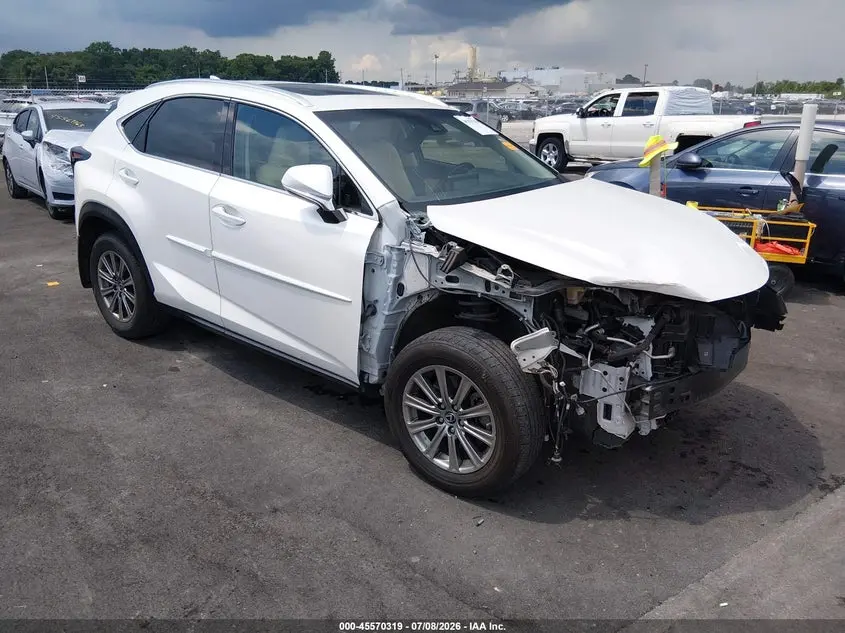 Lexus Nx 300 2019