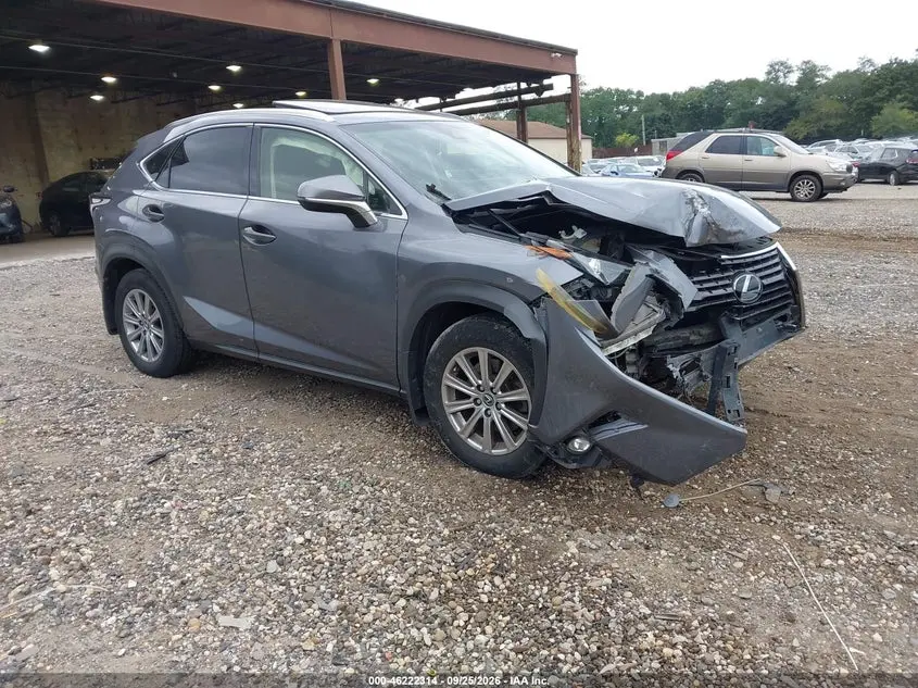 Lexus Nx 300 2019
