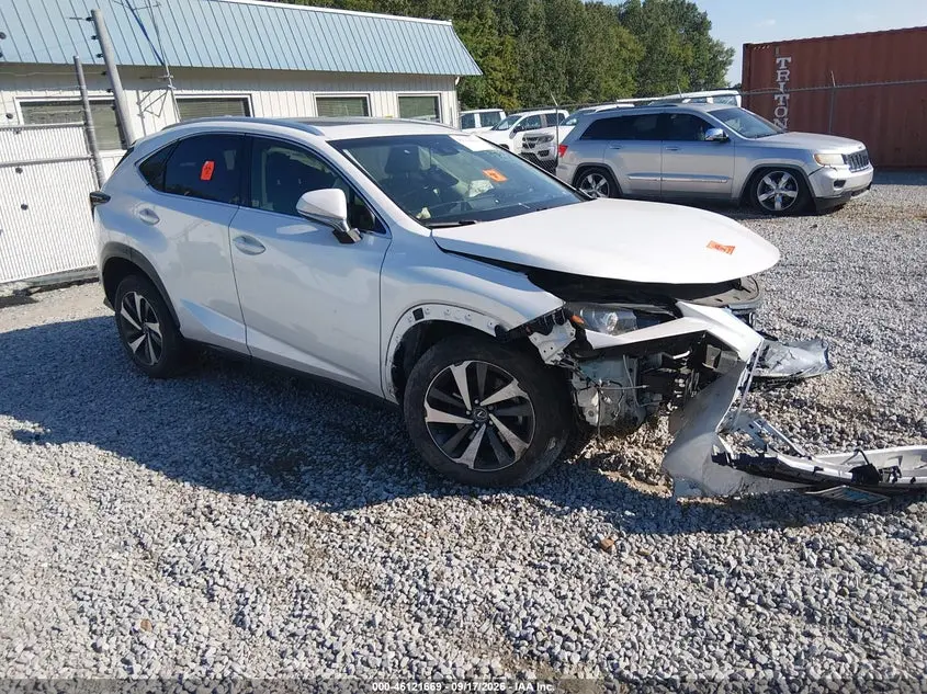 Lexus Nx 300 Base/300 F Sport 2019