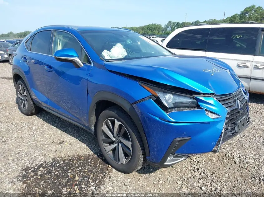 Lexus Nx 300H 2019