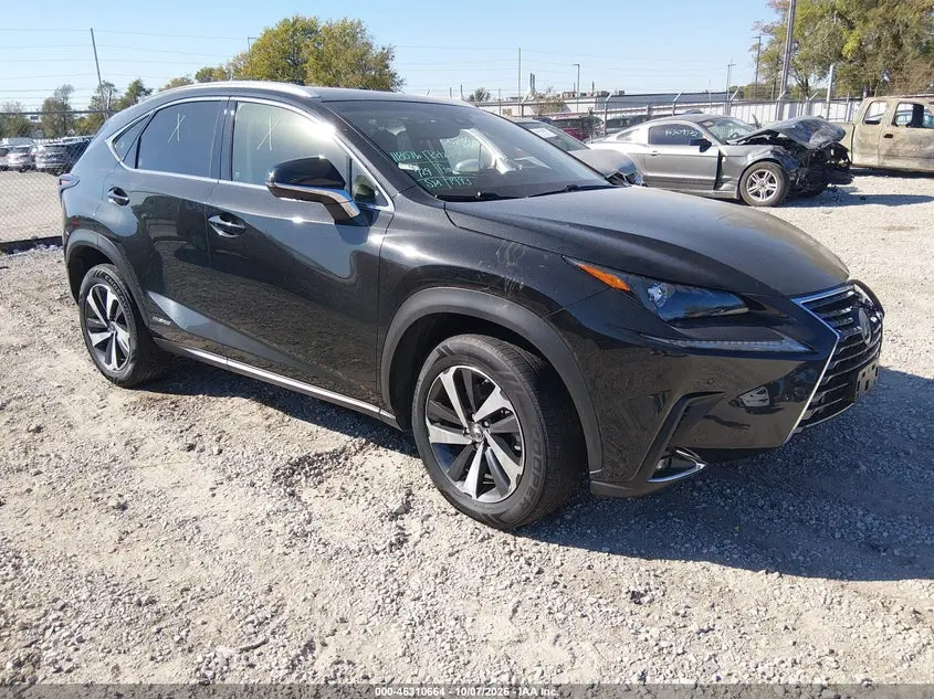 Lexus Nx 300H 2019