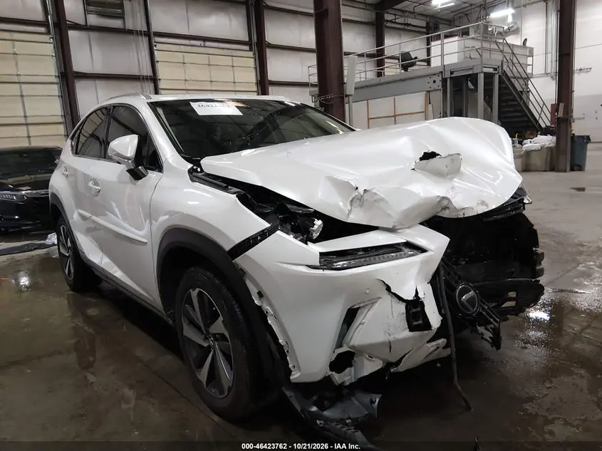 Lexus Nx 300H 2019