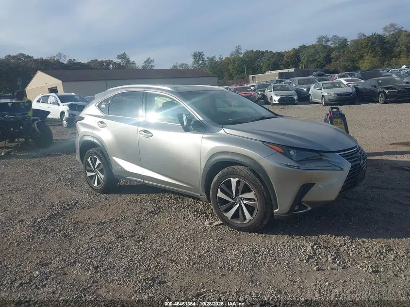 Lexus Nx 300H 2019