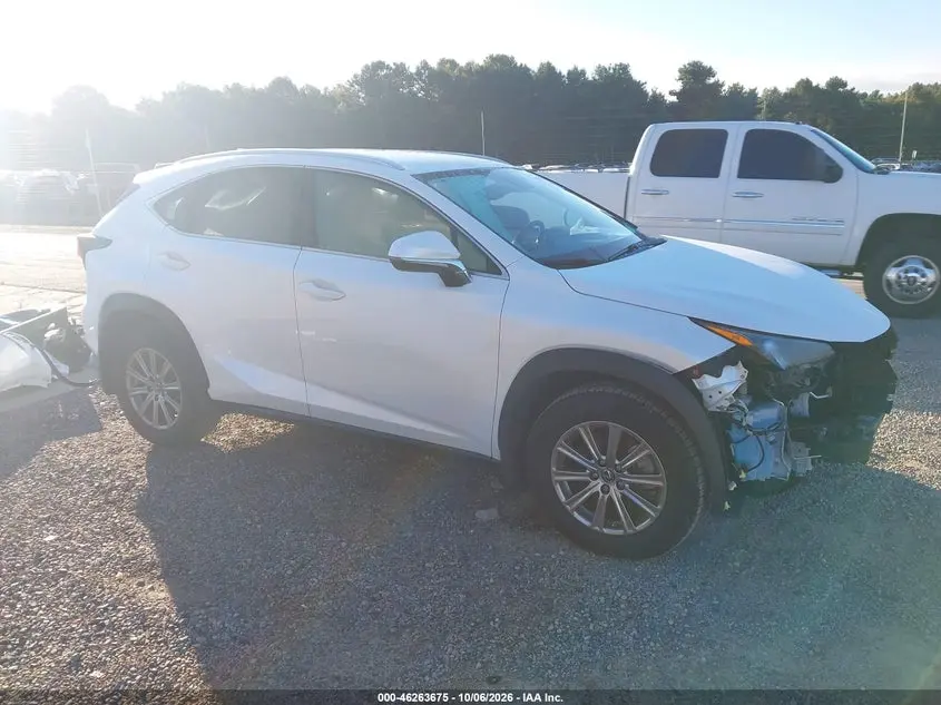 Lexus Nx 300 2021