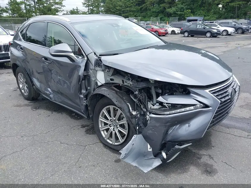 Lexus Nx 300 2021