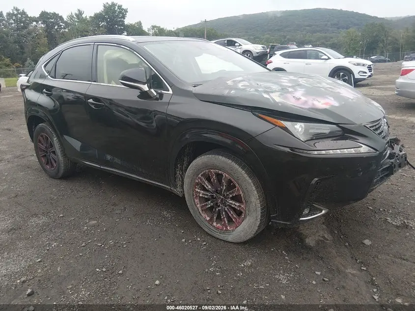 Lexus Nx 300 2021