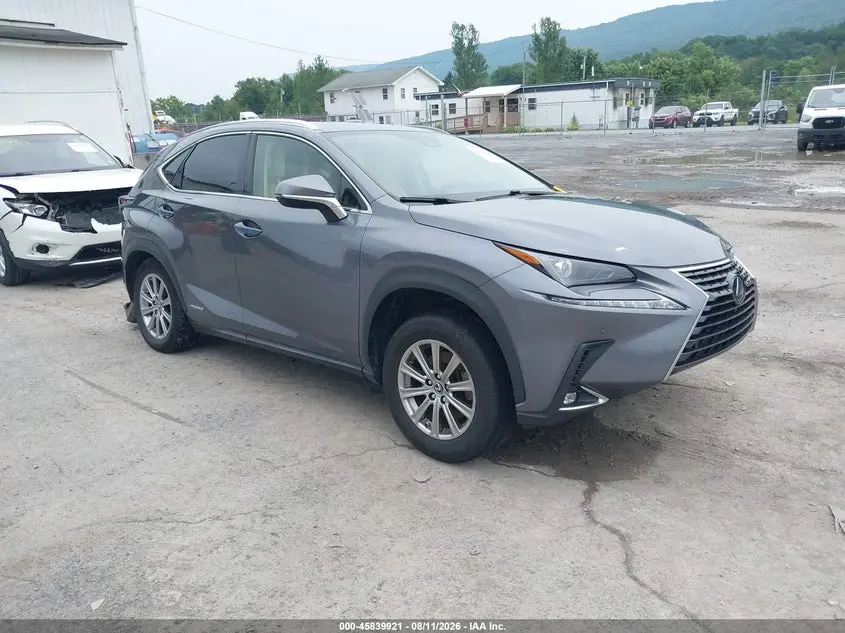 Lexus Nx 300H 2021