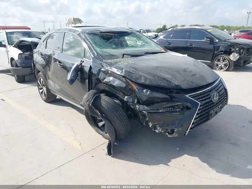 Lexus Nx 300 2020