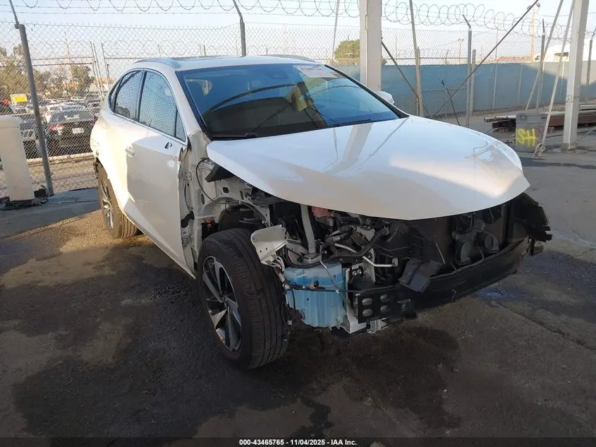 Lexus Nx 300 2021