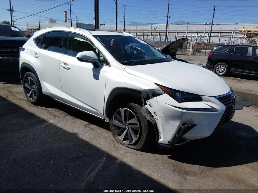 Lexus Nx 300 2021