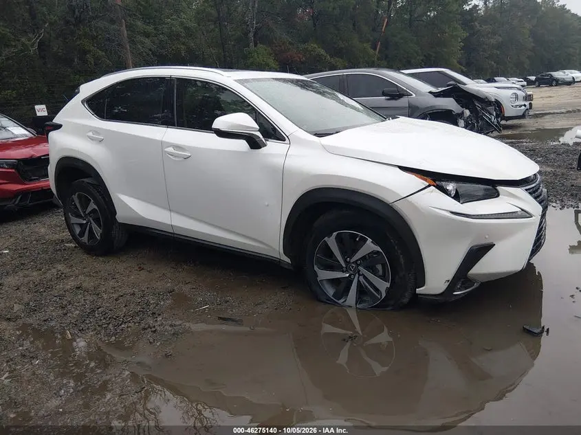 Lexus Nx 300 2021