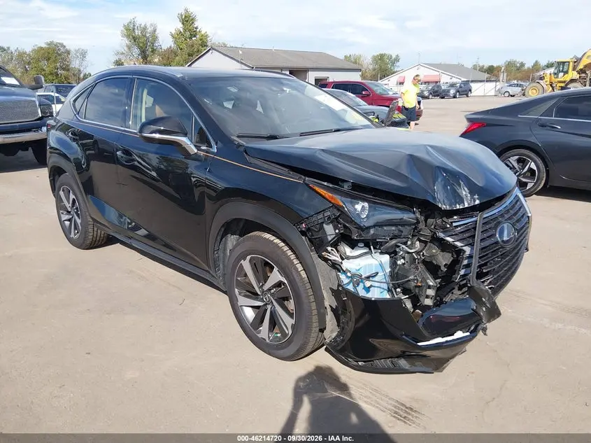 Lexus Nx 300 2021