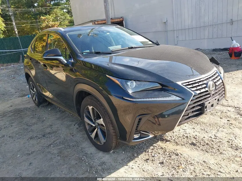 Lexus Nx 300 2020