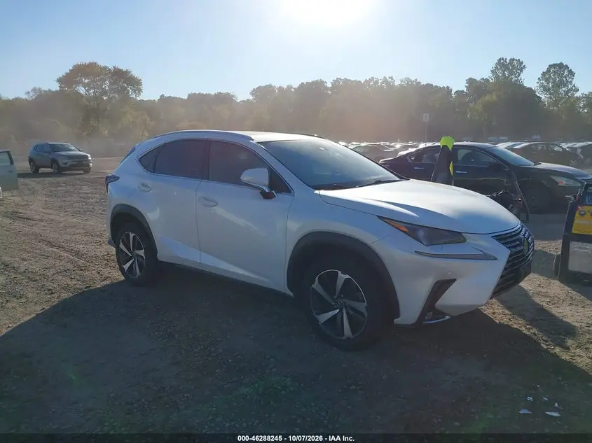 Lexus Nx 300 2021