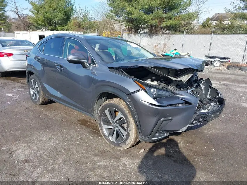 Lexus Nx 300 2021