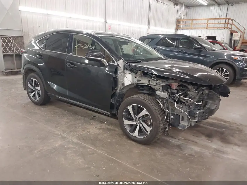 Lexus Nx 300 2020