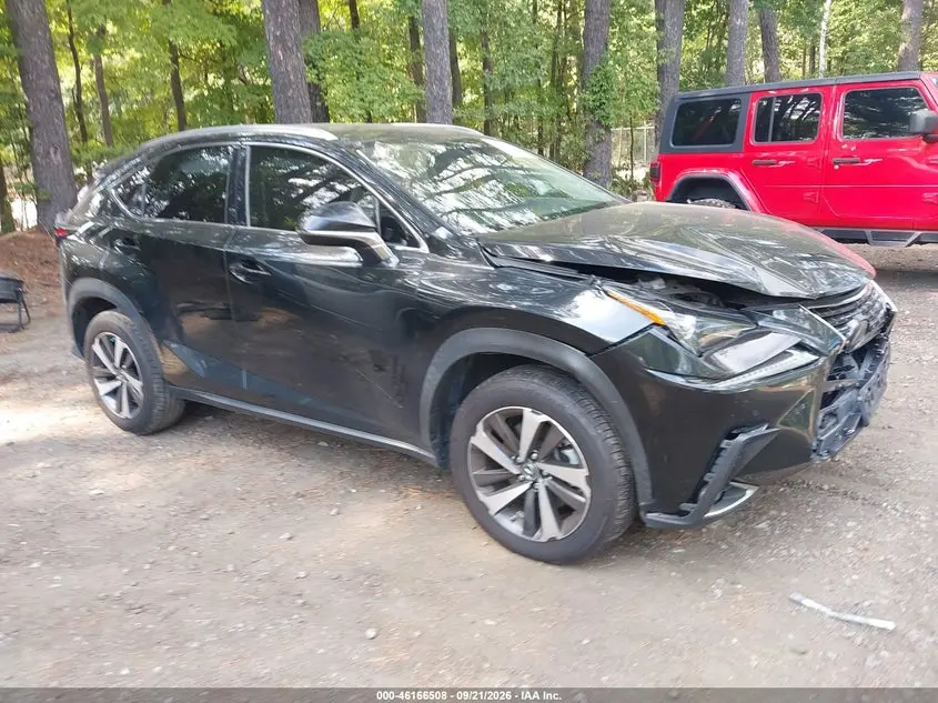 Lexus Nx 300 2021