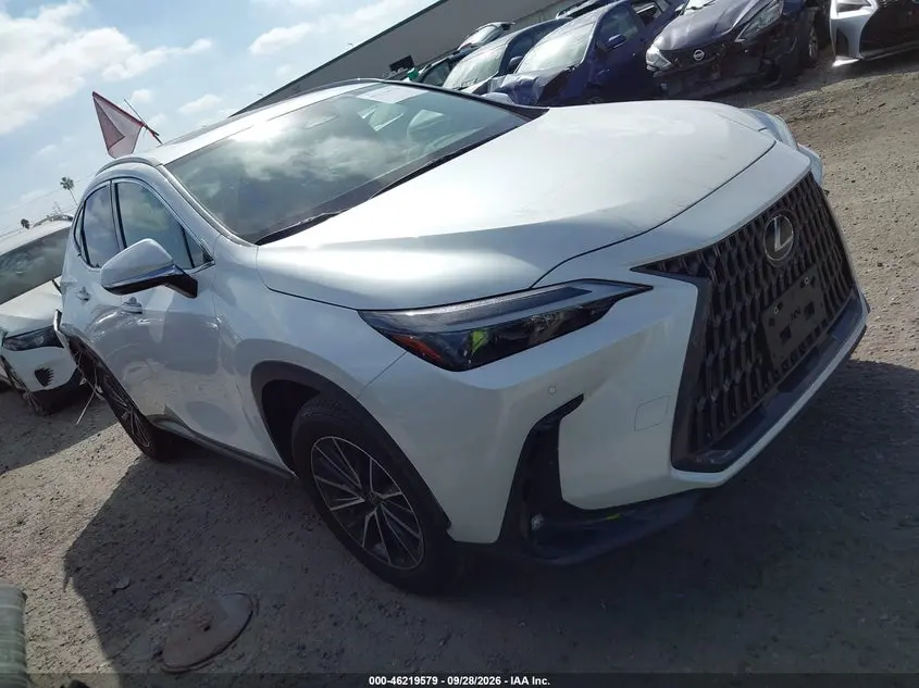 Lexus Nx 250 Premium 2024