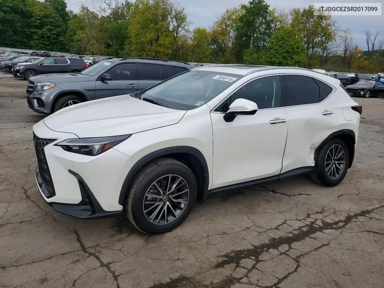 Lexus Nx 350 Premium 2024