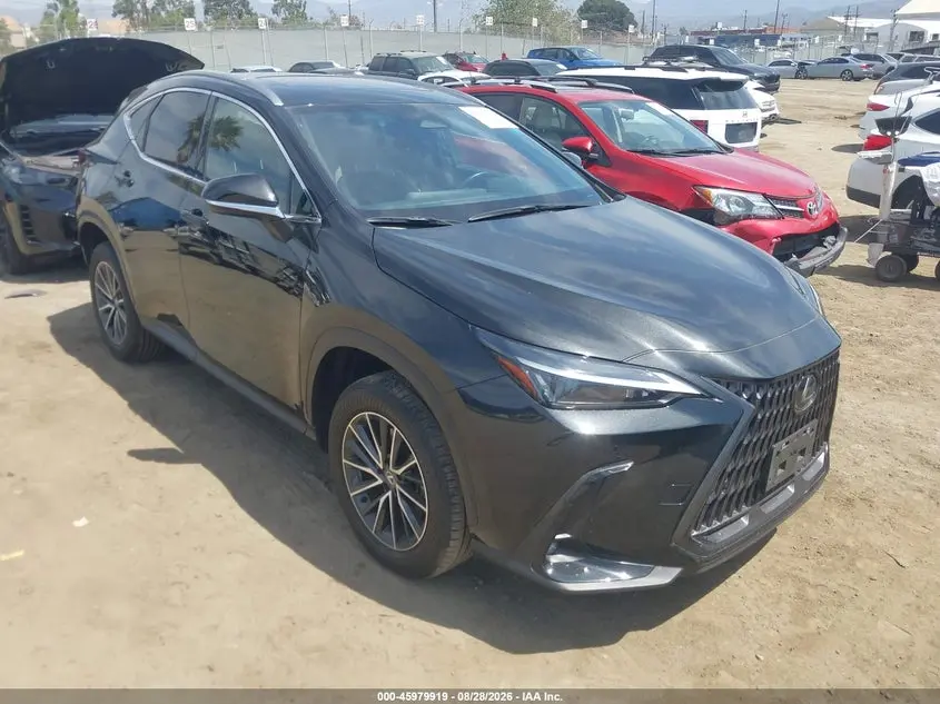 Lexus Nx 350H Premium 2024