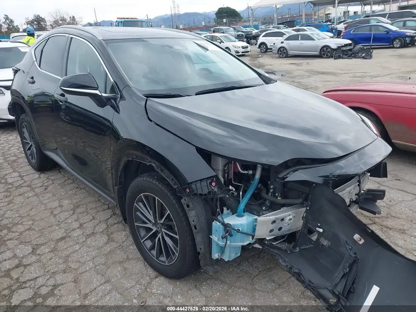 Lexus Nx 350H Premium 2024
