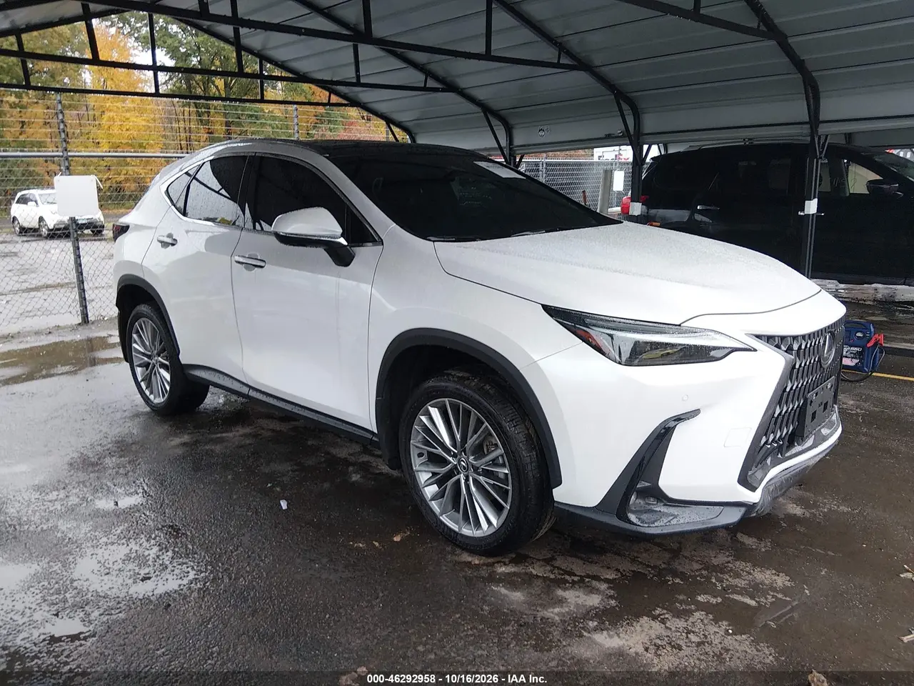 Lexus Nx 350 Luxury 2024