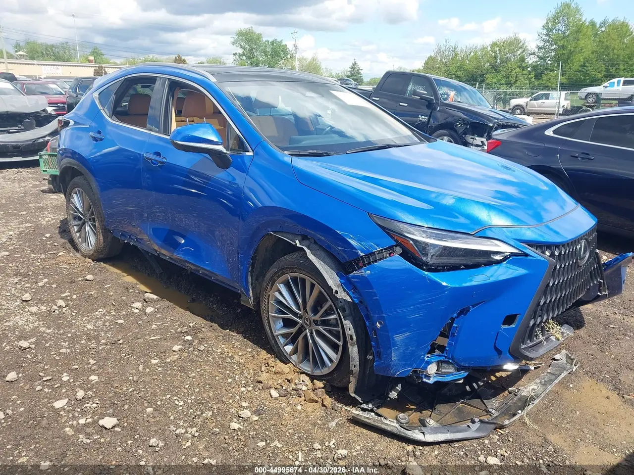 Lexus Nx 350H Luxury 2025