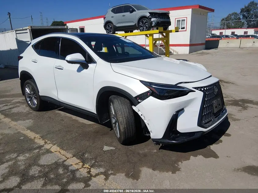 Lexus Nx 350H Luxury 2024