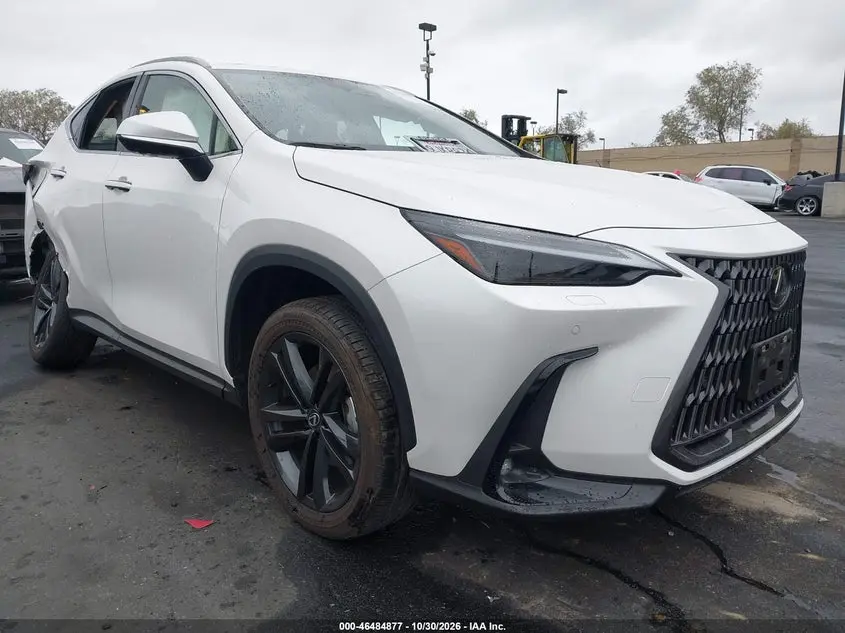 Lexus Nx 450H+ Luxury 2024