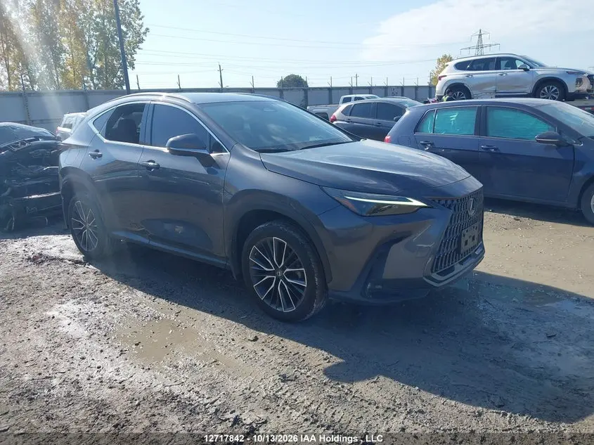 Lexus Nx 450H+ 2022