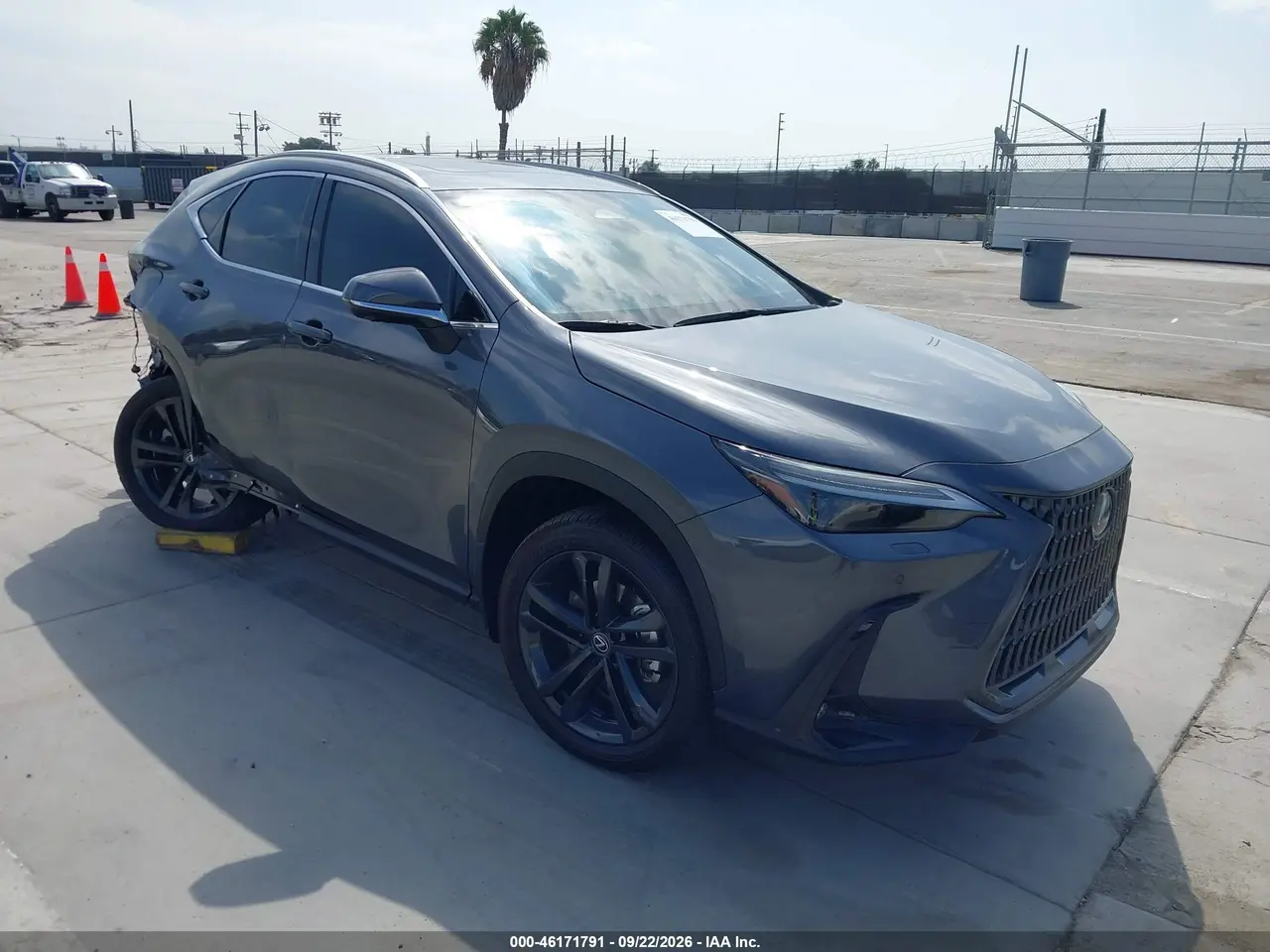 Lexus Nx 450H+ Luxury 2024