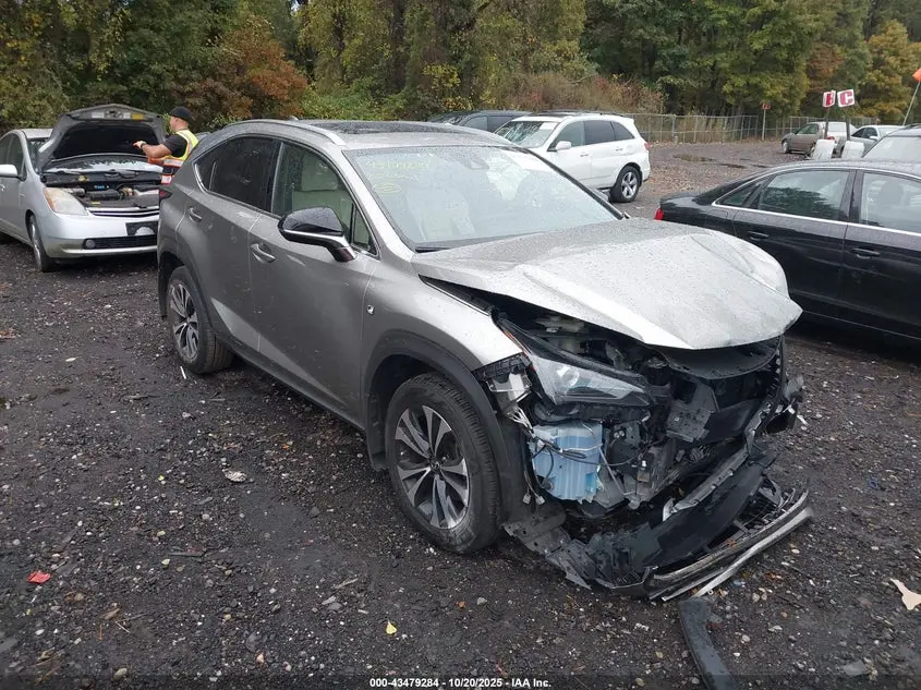 Lexus Nx 300 F Sport 2020