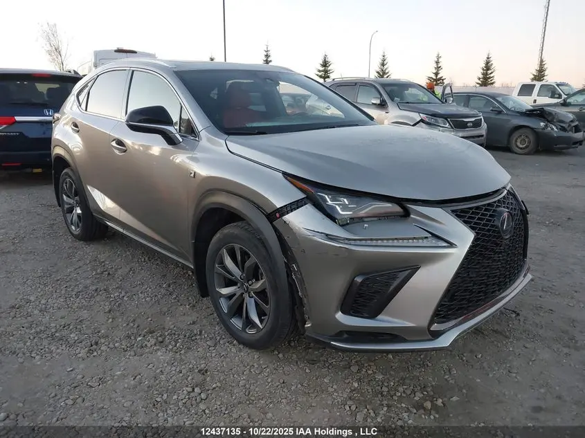 Lexus Nx 300 2021