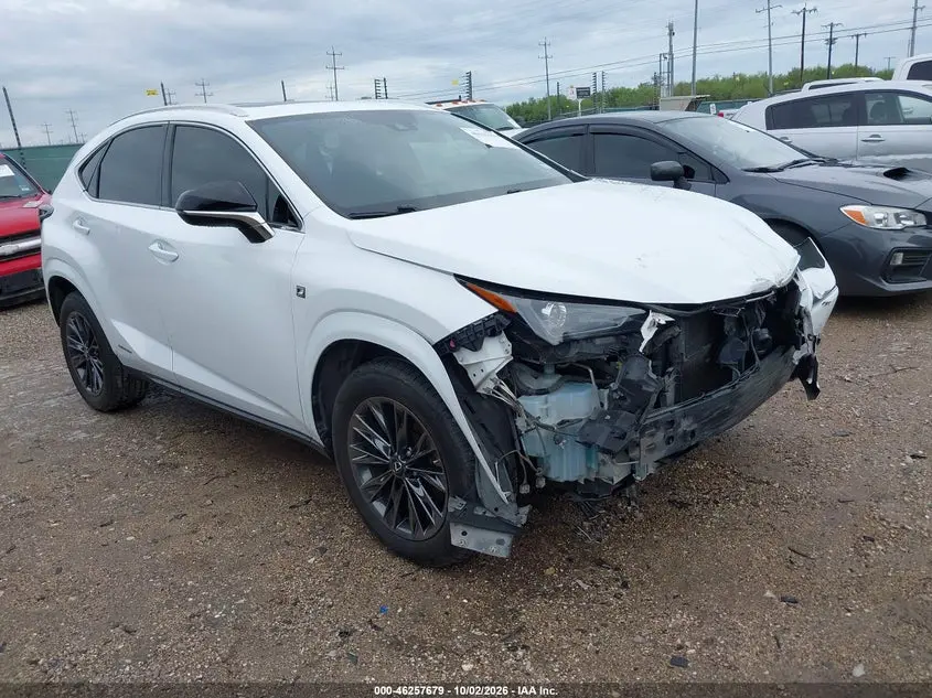 Lexus Nx 300H F Sport Black Line 2021