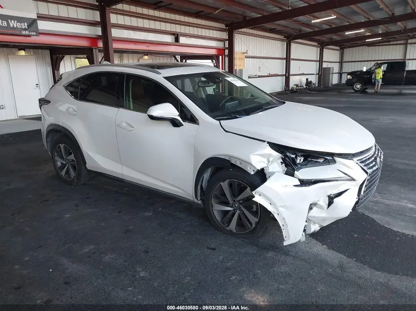 Lexus Nx 300 2019